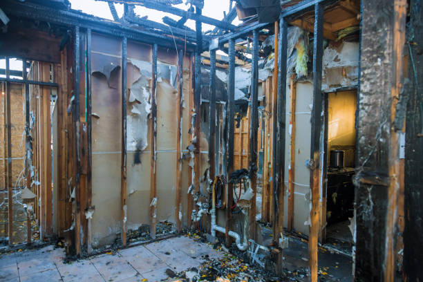 Professional Fire Damage Removal technician working in Sylvania, GA